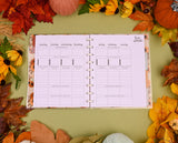 Fall #kellofafan Box 2025
